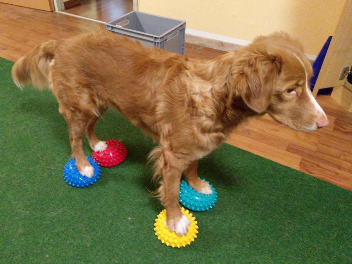 Fit durch den Winter