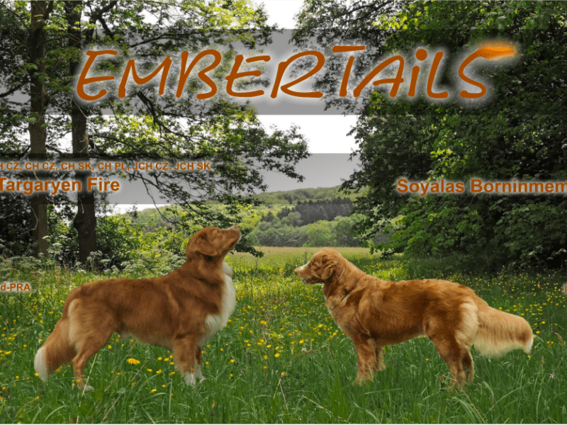 Ayu hat sich Hals über Kopf verliebt