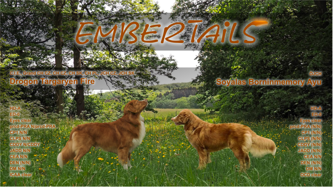 Ayu hat sich Hals über Kopf verliebt